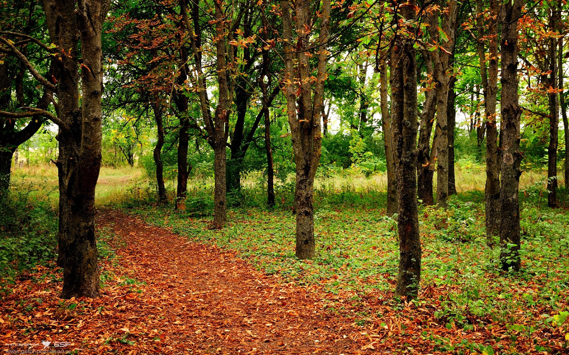 俱乐部世界杯-外线防守能力最强的小前锋排名，外线防守能力最强的小前锋排名榜